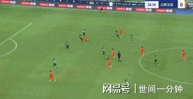 河北队击败对手,登顶胜利宝座 河北队击败对手,登顶胜利宝座