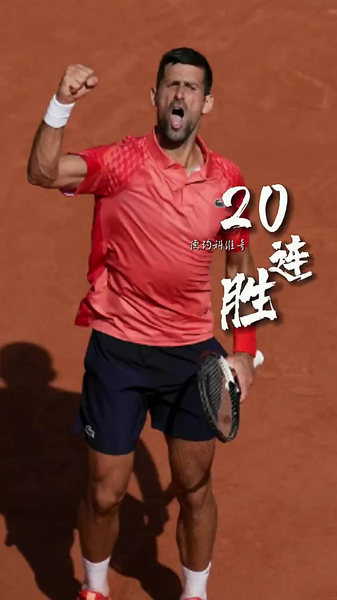 包含法国网球队完胜德国网球队，德约科维奇送出助攻的词条